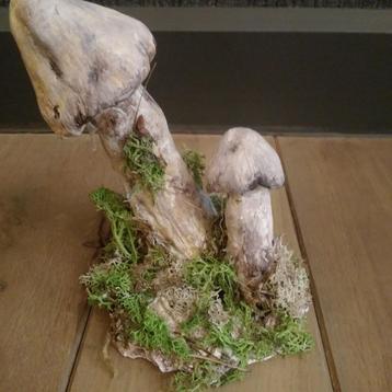 Prachtige paddenstoelen decoratie in gips  beschikbaar voor biedingen