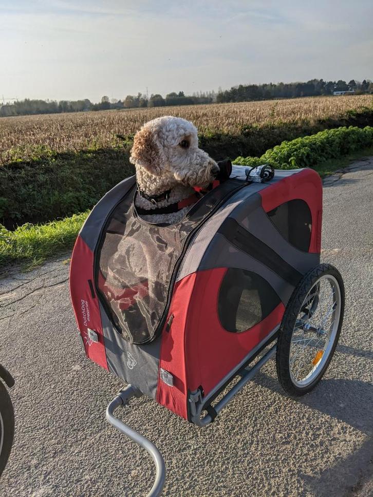 Hondenfietskar Doggyride Original - met askoppeling, Dieren en Toebehoren, Honden-accessoires, Gebruikt, Ophalen