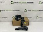 Gordel Links Achter Renault Megane 2 Break 8200562496, Auto-onderdelen, Gebruikt, Ophalen of Verzenden