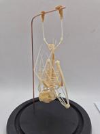 Véritable squelette de chauve-souris, Enlèvement ou Envoi