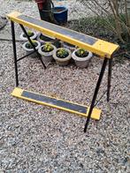 Schragen, Enlèvement