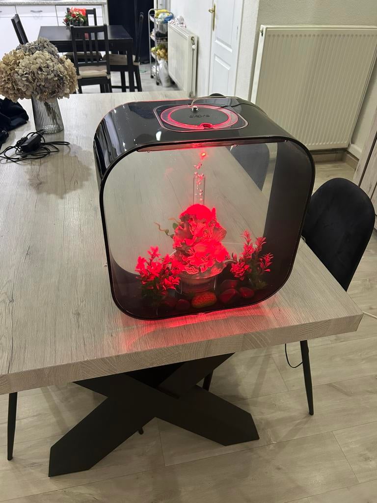 Biorb aquarium, Ophalen, Zo goed als nieuw