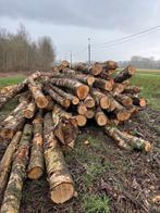 Den fijnspar en berk te koop, 6 m³ of meer, Ophalen of Verzenden, Stammen