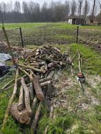 Wilg, Tuin en Terras, Brandhout, Ophalen of Verzenden