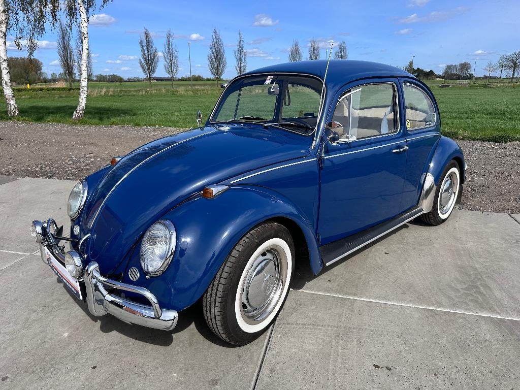 Volkswagen kever, Auto's, Oldtimers, Bedrijf, Volkswagen, Benzine, Coupé, 2 deurs, Handgeschakeld, Blauw, Blauw