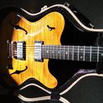 Nik Huber rietbergen, Musique & Instruments, Instruments à corde | Guitares | Électriques, Enlèvement ou Envoi, Utilisé, Semi-solid body
