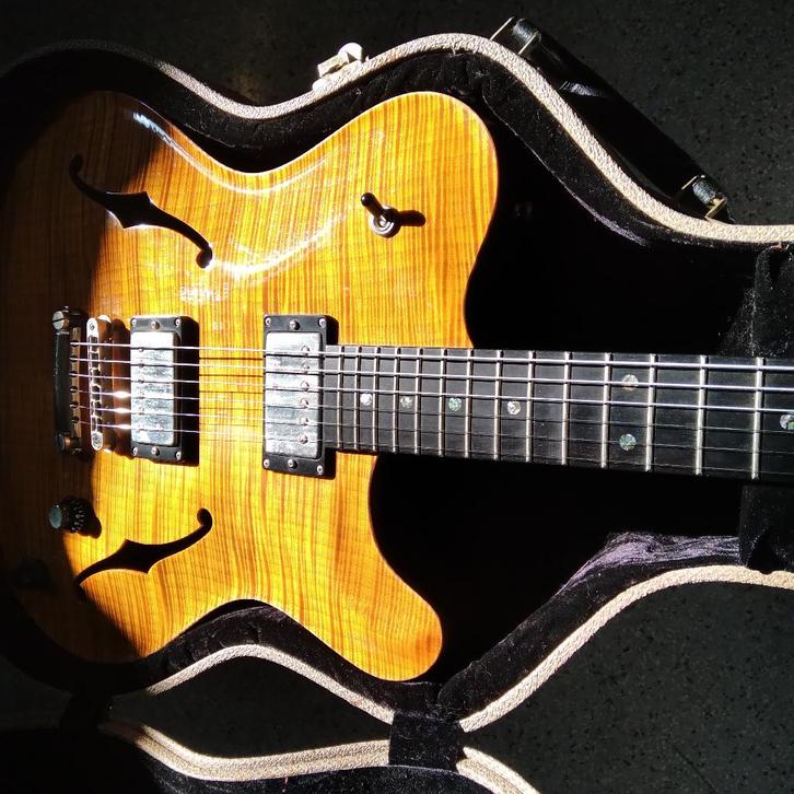 Nik Huber rietbergen, Musique & Instruments, Instruments à corde | Guitares | Électriques, Utilisé, Semi-solid body, Autres marques