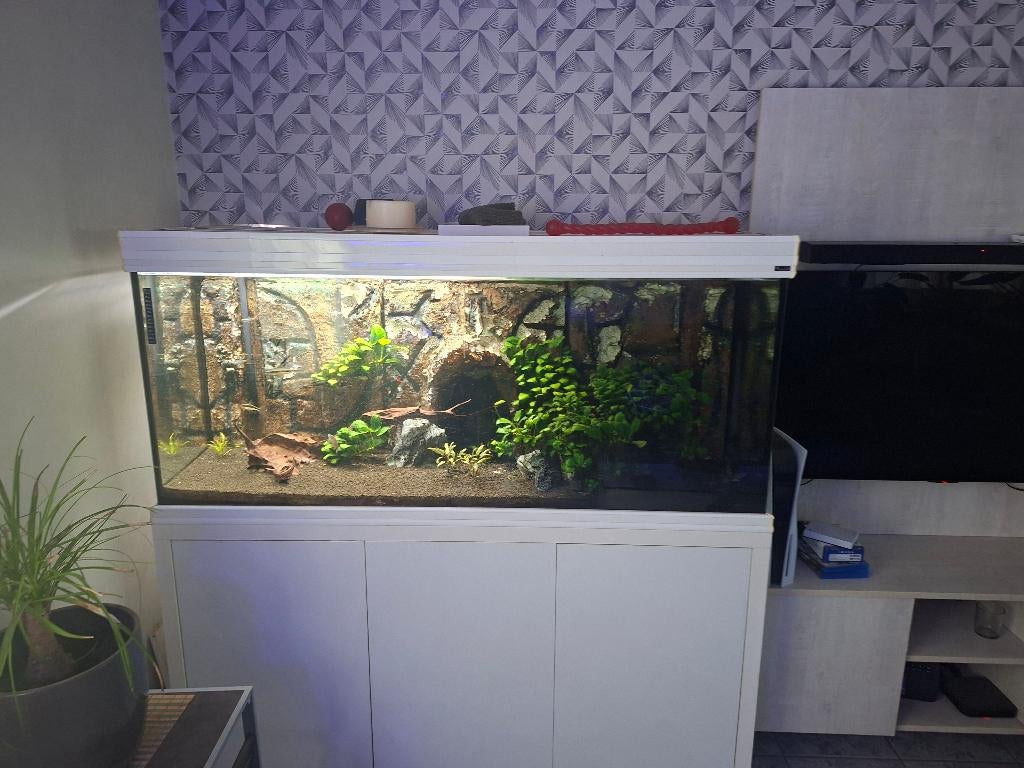 aquarium d'eau douce, Animaux & Accessoires, Aquatlantis, Aquarium d'eau douce rempli, Enlèvement, Utilisé