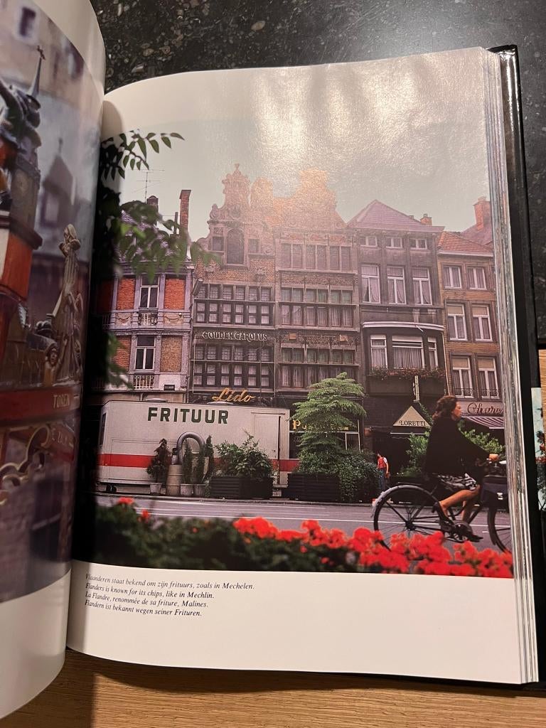 De schoonheid van Vlaanderen, meertalig, Boeken, Ophalen of Verzenden, 15e en 16e eeuw, Gelezen