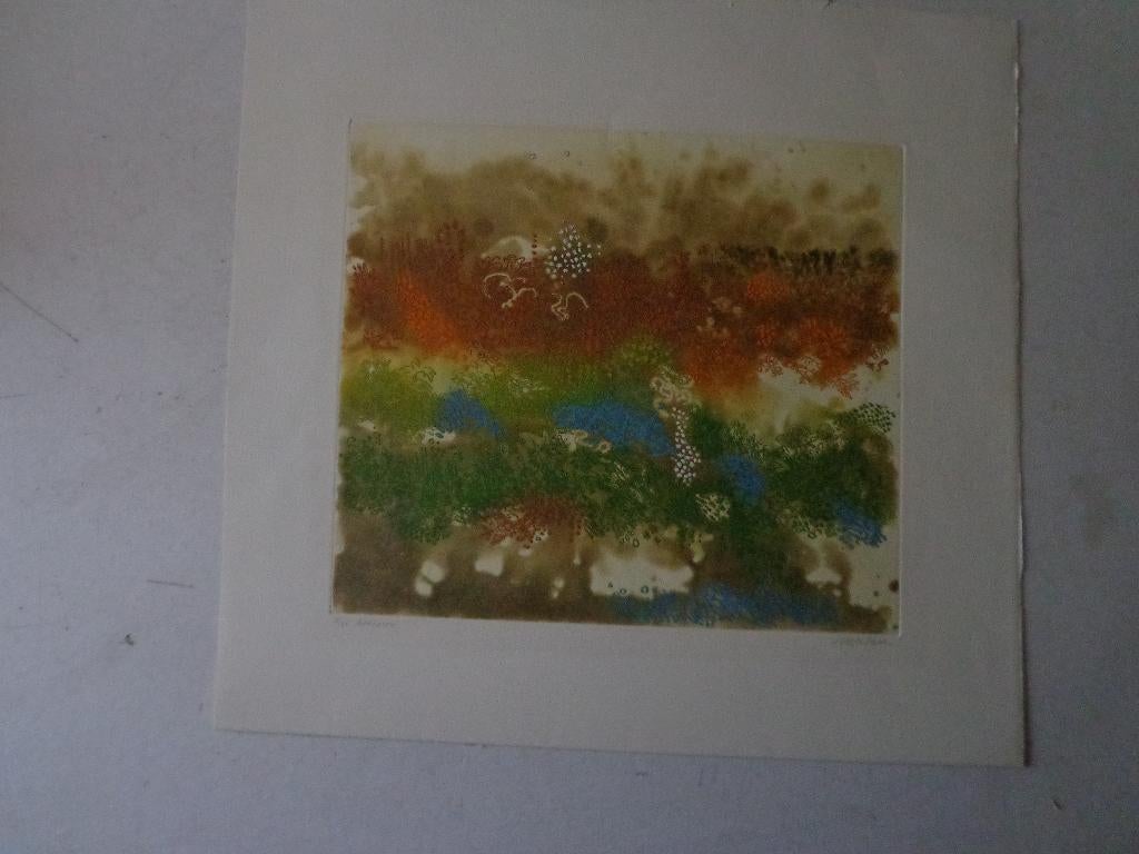 Fraaie ets in kleur van Anne Walker "Hedgerow" uit 1985, Enlèvement ou Envoi, 1950 - 1999, Faune et Flore, Eau-forte