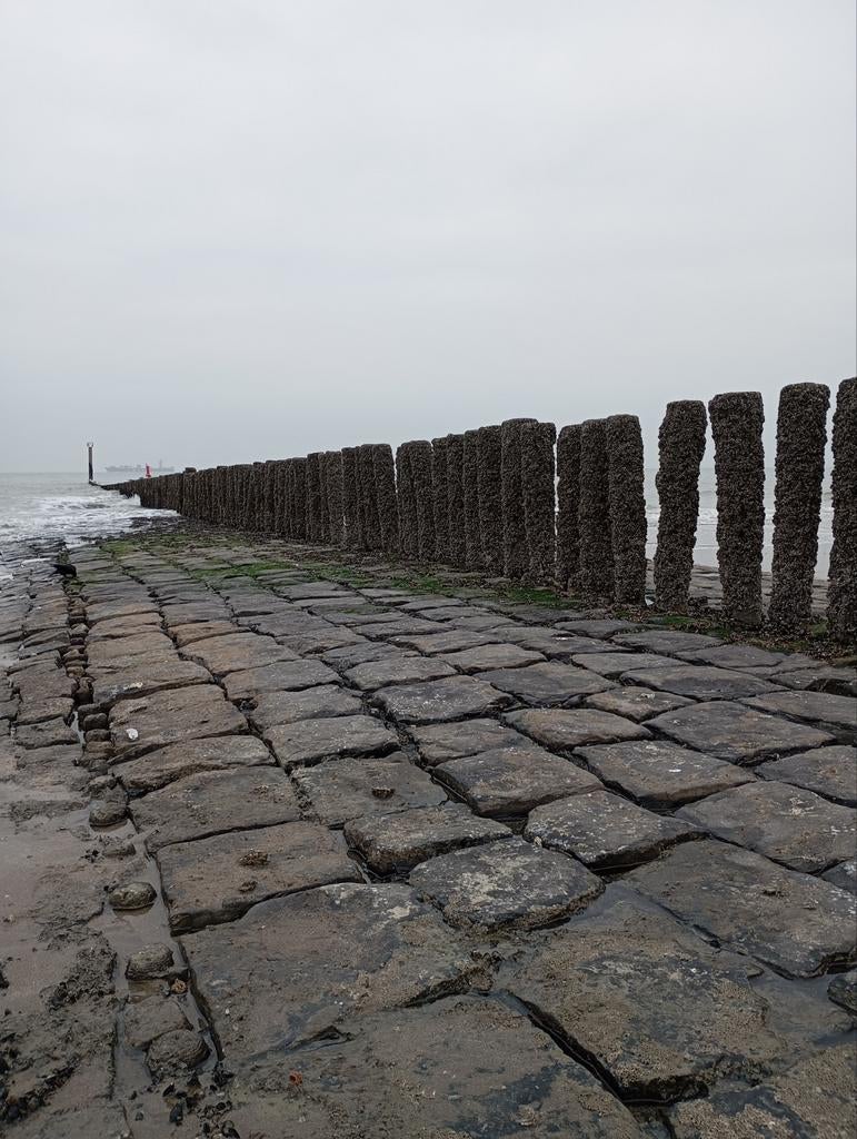 Poetshulp  man, Vacatures, Vacatures | Schoonmaak en Facilitaire diensten