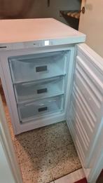 Diepvries Liebherr No-Frost Met 3 Grote Laden, Ophalen