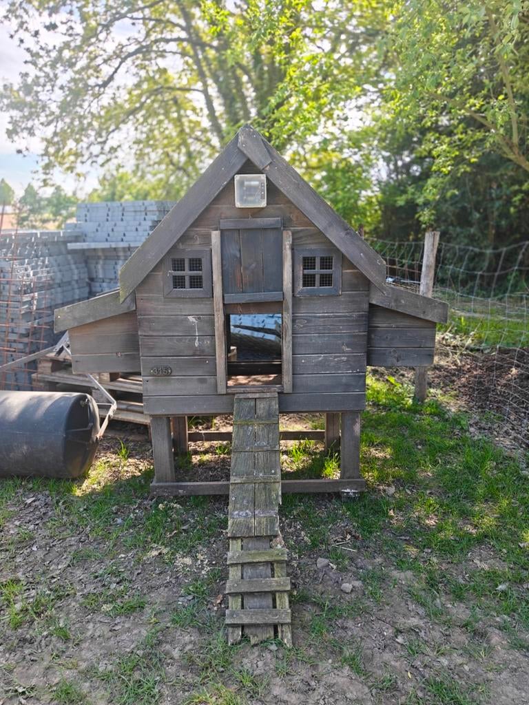 Groot, robuust kippenhok te koop, Dieren en Toebehoren, Ophalen, Gebruikt, Kippenhok of Kippenren