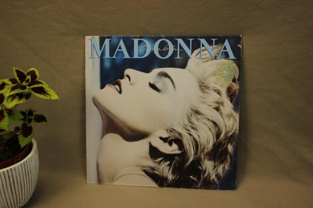 LP Madonna - True Blue, Ophalen of Verzenden, Gebruikt