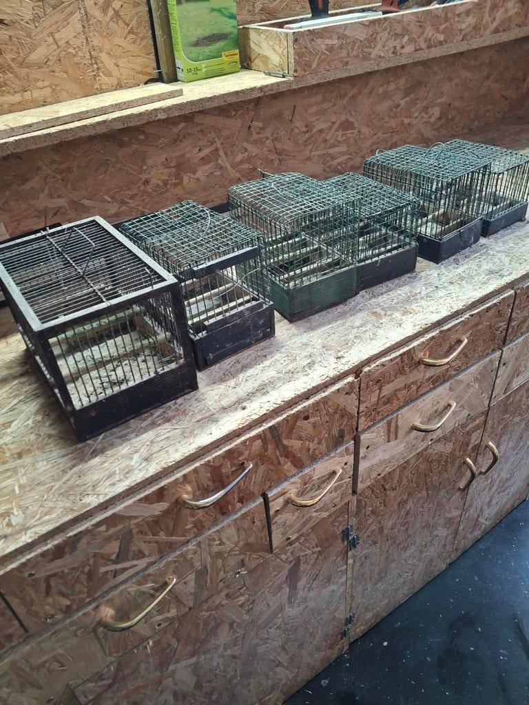 6 vogelkooitjes, Dieren en Toebehoren, Vogels | Hokken en Kooien, Ophalen, Gebruikt, Overige materialen, Overige typen