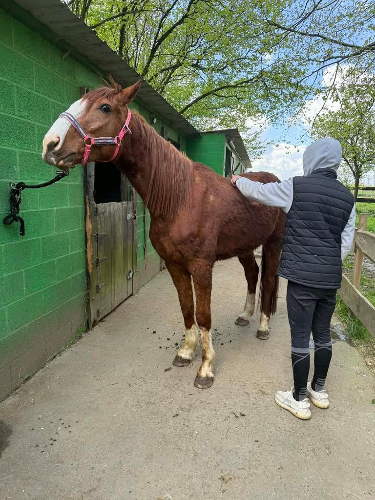 Tf, Enlèvement, Utilisé