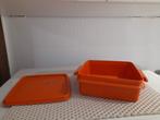 Tupperware - stenen lunchbox van 16 cm x 16 cm, Ophalen of Verzenden, Bus of Trommel