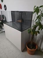 Aquarium récifal Redsea 350G1, Enlèvement