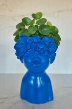 Kobaltblauwe bloempot, Enlèvement ou Envoi