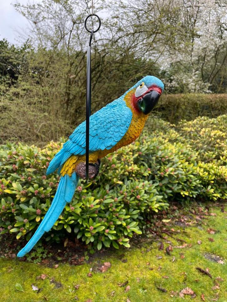 Statue perroquet Bassin bleu, jardin, balcon 50cm, Jardin & Terrasse, Statues de jardin, Neuf, Animal, Synthétique, Enlèvement ou Envoi