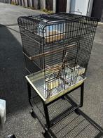 Grote Vogelkooi papegaai/parkieten, Ophalen, Zo goed als nieuw, Vogelkooi