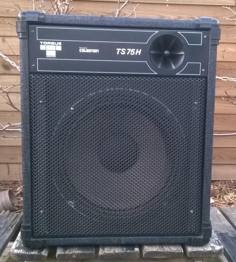 Luidsprekers 12 inch 150 Watt Torque, 2 stuks, Audio, Tv en Foto, Luidsprekerboxen, Overige merken, Ophalen of Verzenden, Zo goed als nieuw