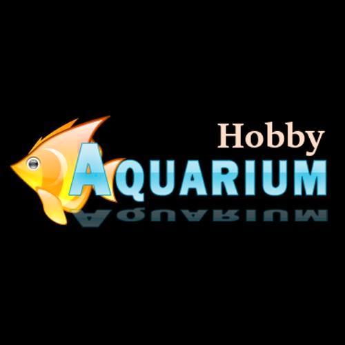 hobbyaquarium