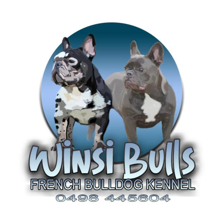 Yosyosi Chihuahuas / Winsi Bulls