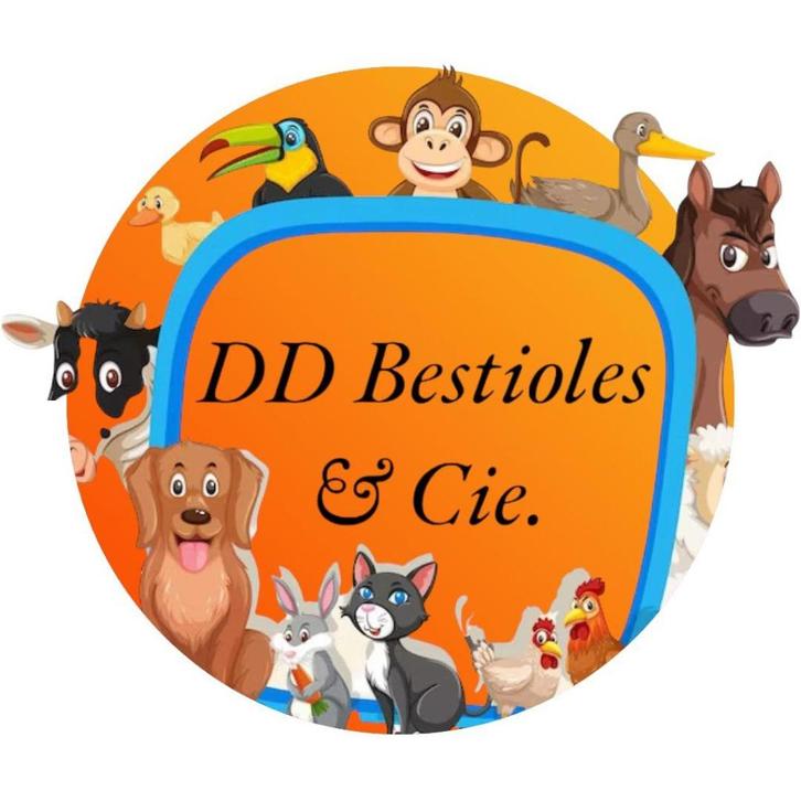 DD Bestioles & cie